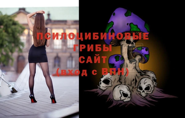 не бодяженный Богородицк