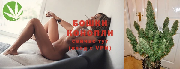 тгк Богданович