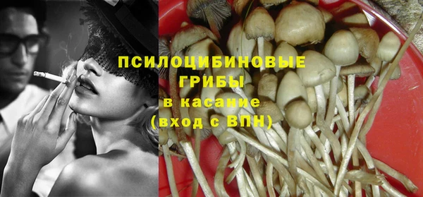 тгк Богданович