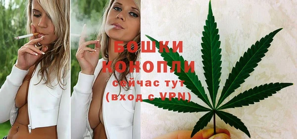 тгк Богданович