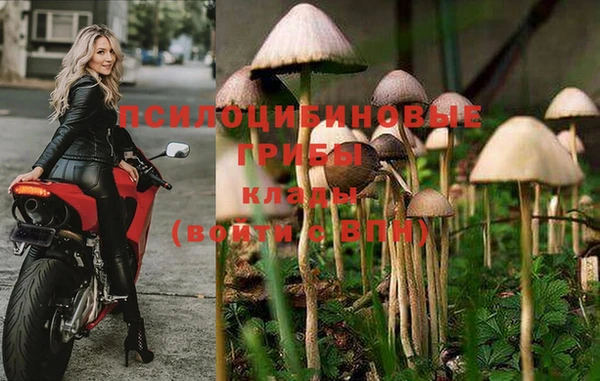 не бодяженный Богородицк