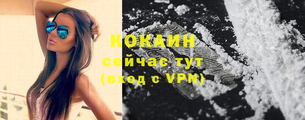 не бодяженный Богородицк